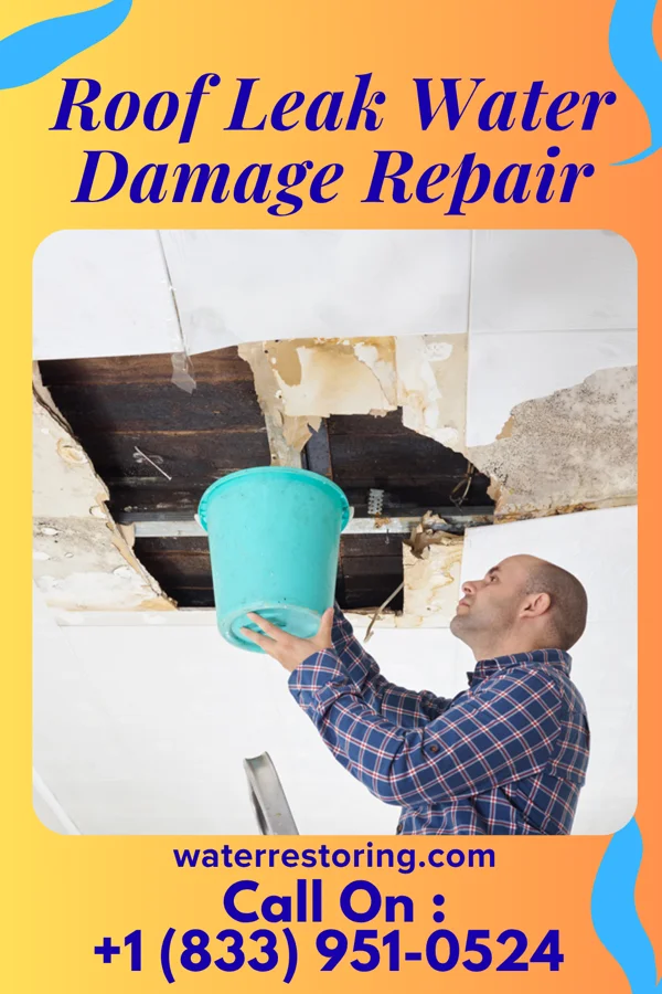 Roof Leak Water Damage Repair in Garland, NC